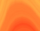 bauerrave